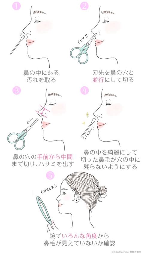 鼻毛 女性|鼻毛の入り口の処理！女性におすすめの方法5選│ケ。